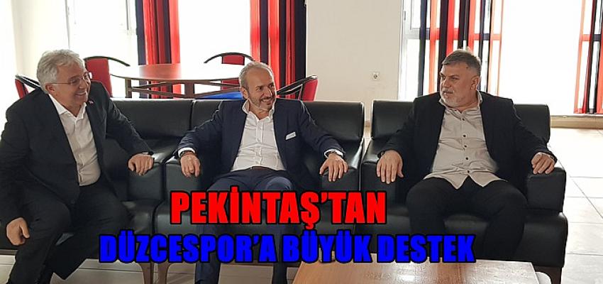 PEKİNTAŞ CEO